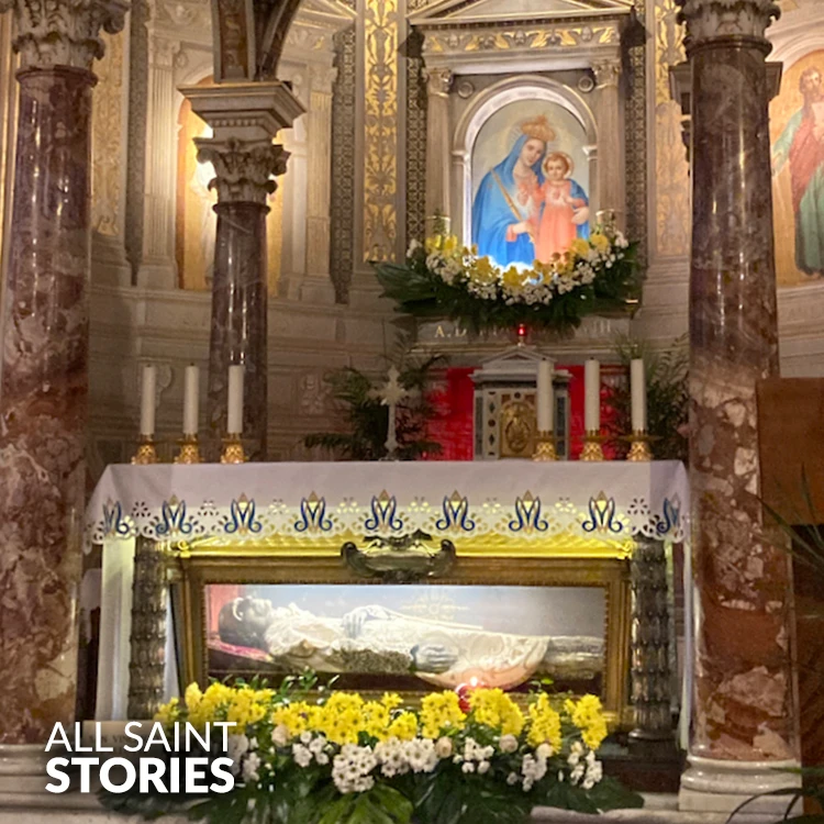 Image of ST. VINCENT PALLOTTI