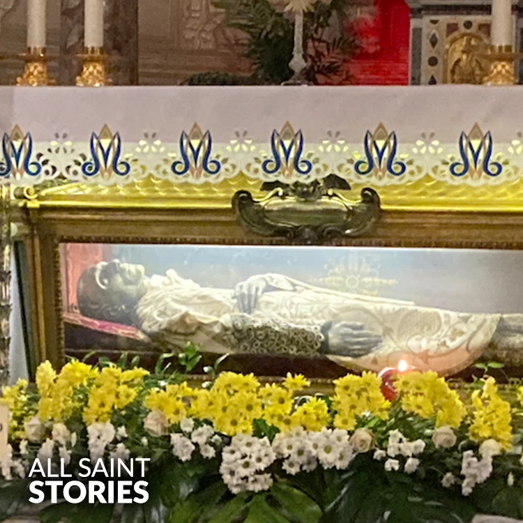 Image of ST. VINCENT PALLOTTI