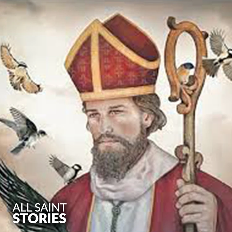 Image of ST. VALENTINE