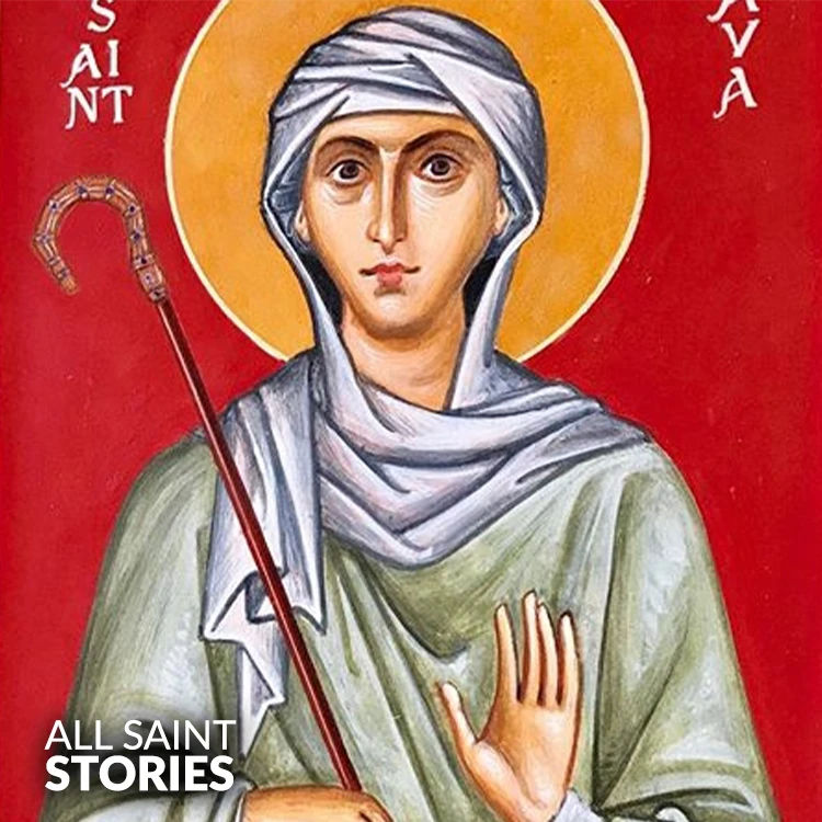 Image of ST. AVA