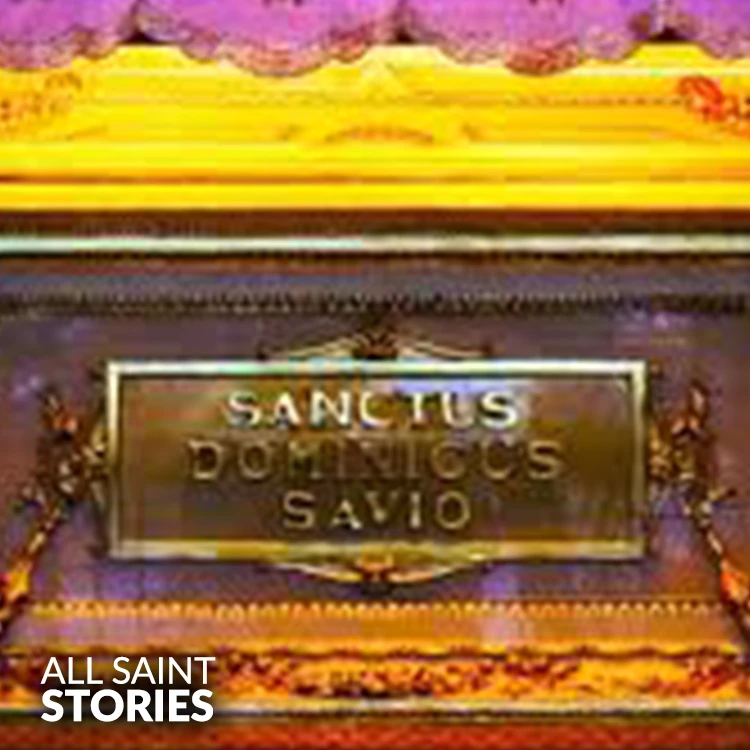 Image of ST. DOMINIC SAVIO