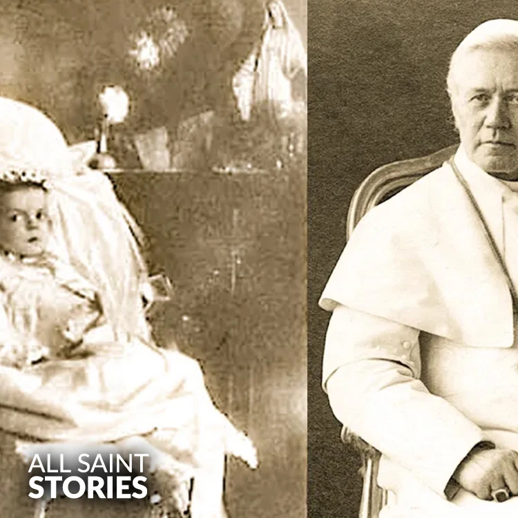 ST. ELLEN ORGAN